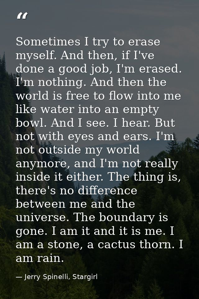 Sometimes I try to erase myself. And then, if I've done a good job, I'm erased. I'm nothing. And then the world is free  — Jerry Spinelli, Stargirl