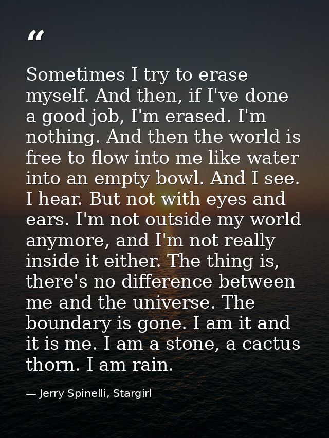 Sometimes I try to erase myself. And then, if I've done a good job, I'm erased. I'm nothing. And then the world is free  — Jerry Spinelli, Stargirl