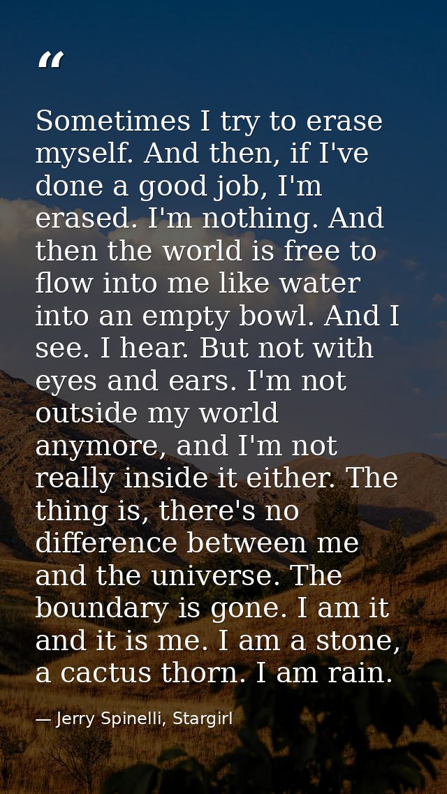 Sometimes I try to erase myself. And then, if I've done a good job, I'm erased. I'm nothing. And then the world is free  — Jerry Spinelli, Stargirl