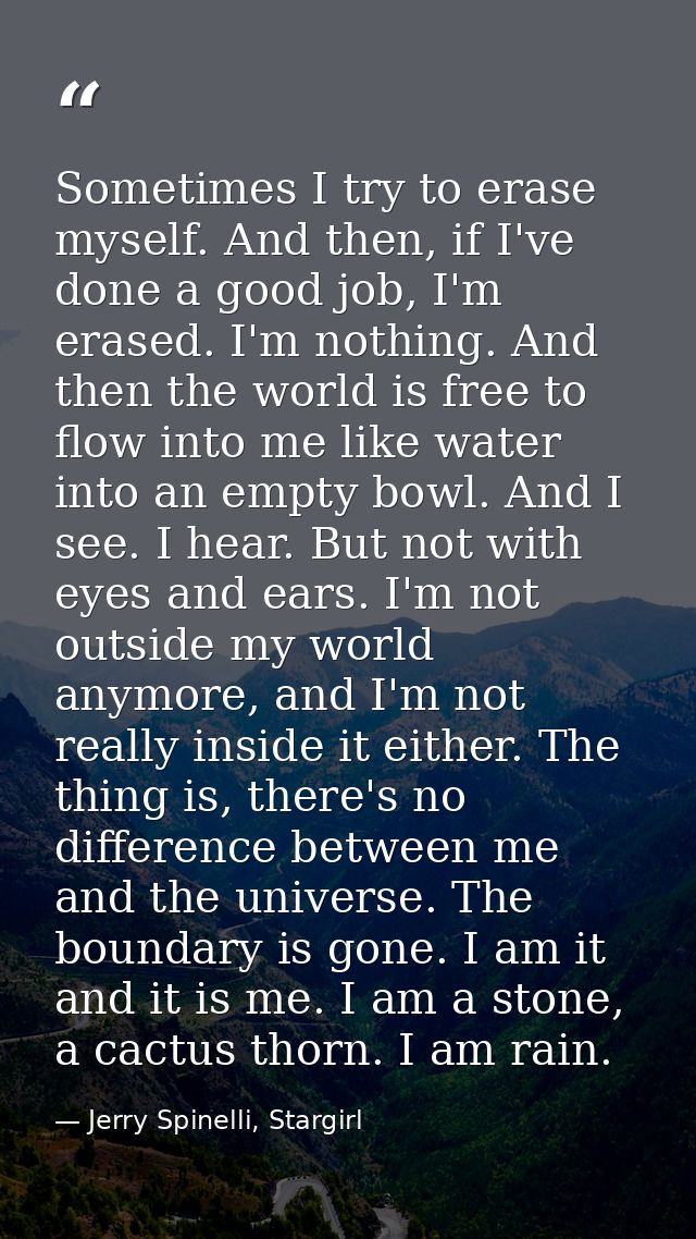 Sometimes I try to erase myself. And then, if I've done a good job, I'm erased. I'm nothing. And then the world is free  — Jerry Spinelli, Stargirl
