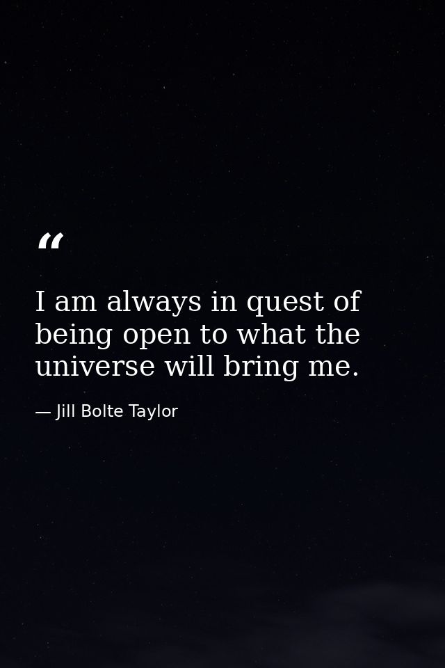 I am always in quest of being open to what the universe will bring me. — Jill Bolte Taylor
