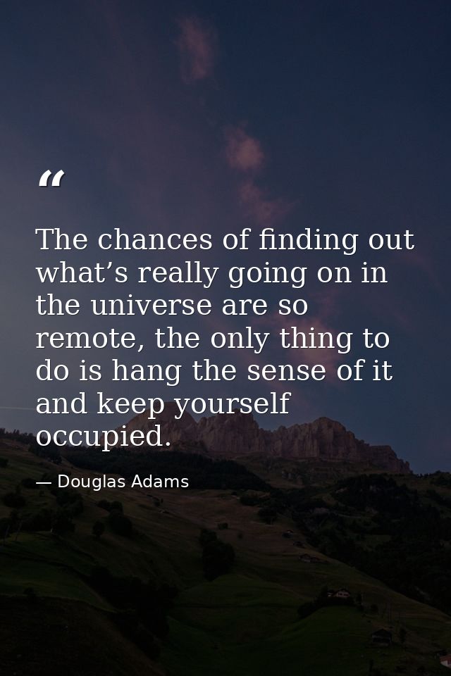 The chances of finding out what’s really going on in the universe are so remote, the only thing to do is hang the sense  — Douglas Adams