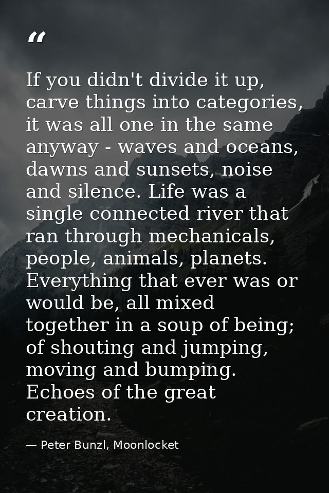 If you didn't divide it up, carve things into categories, it was all one in the same anyway - waves and oceans, dawns an — Peter Bunzl, Moonlocket