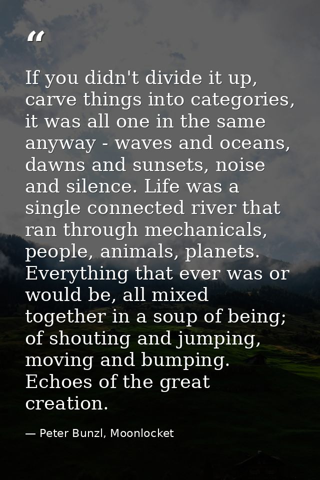 If you didn't divide it up, carve things into categories, it was all one in the same anyway - waves and oceans, dawns an — Peter Bunzl, Moonlocket