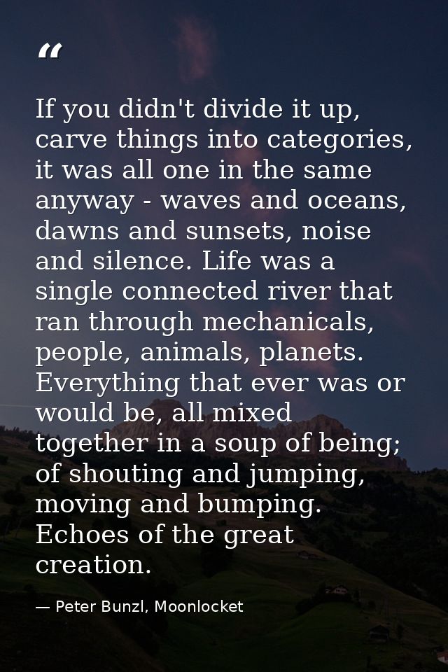 If you didn't divide it up, carve things into categories, it was all one in the same anyway - waves and oceans, dawns an — Peter Bunzl, Moonlocket