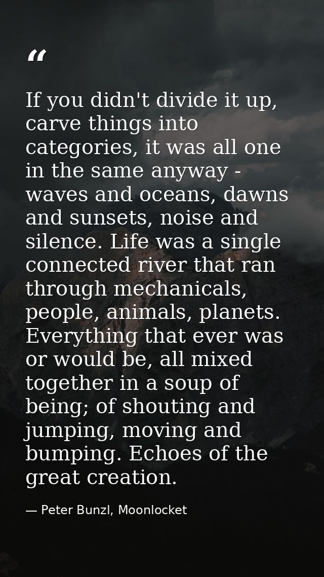 If you didn't divide it up, carve things into categories, it was all one in the same anyway - waves and oceans, dawns an — Peter Bunzl, Moonlocket