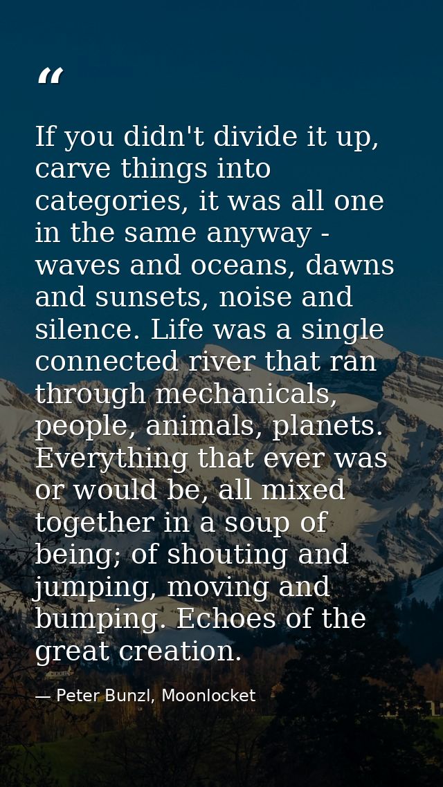 If you didn't divide it up, carve things into categories, it was all one in the same anyway - waves and oceans, dawns an — Peter Bunzl, Moonlocket