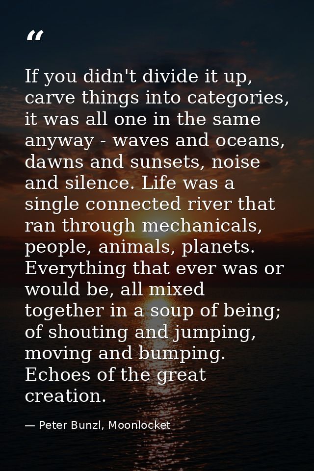 If you didn't divide it up, carve things into categories, it was all one in the same anyway - waves and oceans, dawns an — Peter Bunzl, Moonlocket