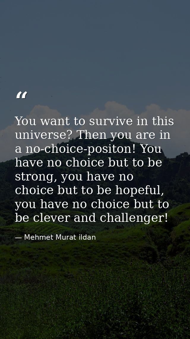 You want to survive in this universe? Then you are in a no-choice-positon! You have no choice but to be strong, you have — Mehmet Murat ildan