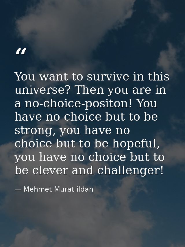 You want to survive in this universe? Then you are in a no-choice-positon! You have no choice but to be strong, you have — Mehmet Murat ildan