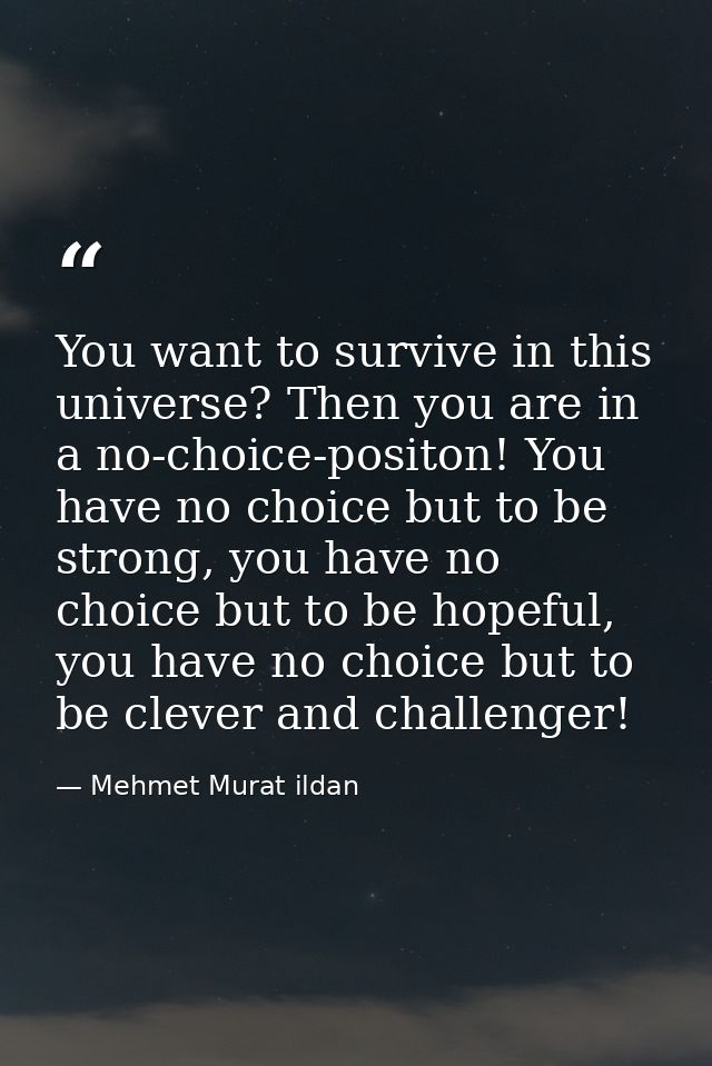 You want to survive in this universe? Then you are in a no-choice-positon! You have no choice but to be strong, you have — Mehmet Murat ildan