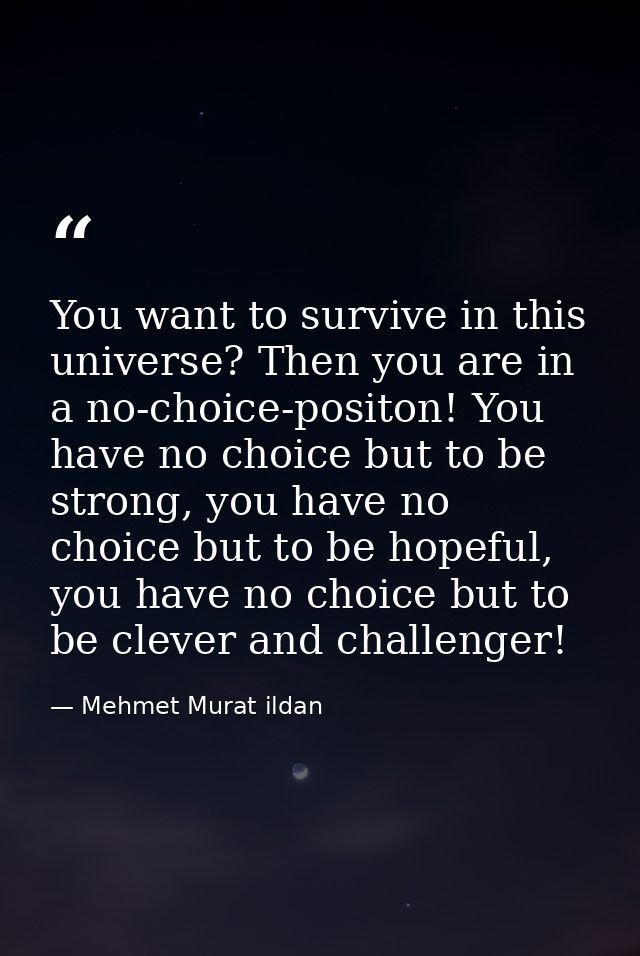 You want to survive in this universe? Then you are in a no-choice-positon! You have no choice but to be strong, you have — Mehmet Murat ildan