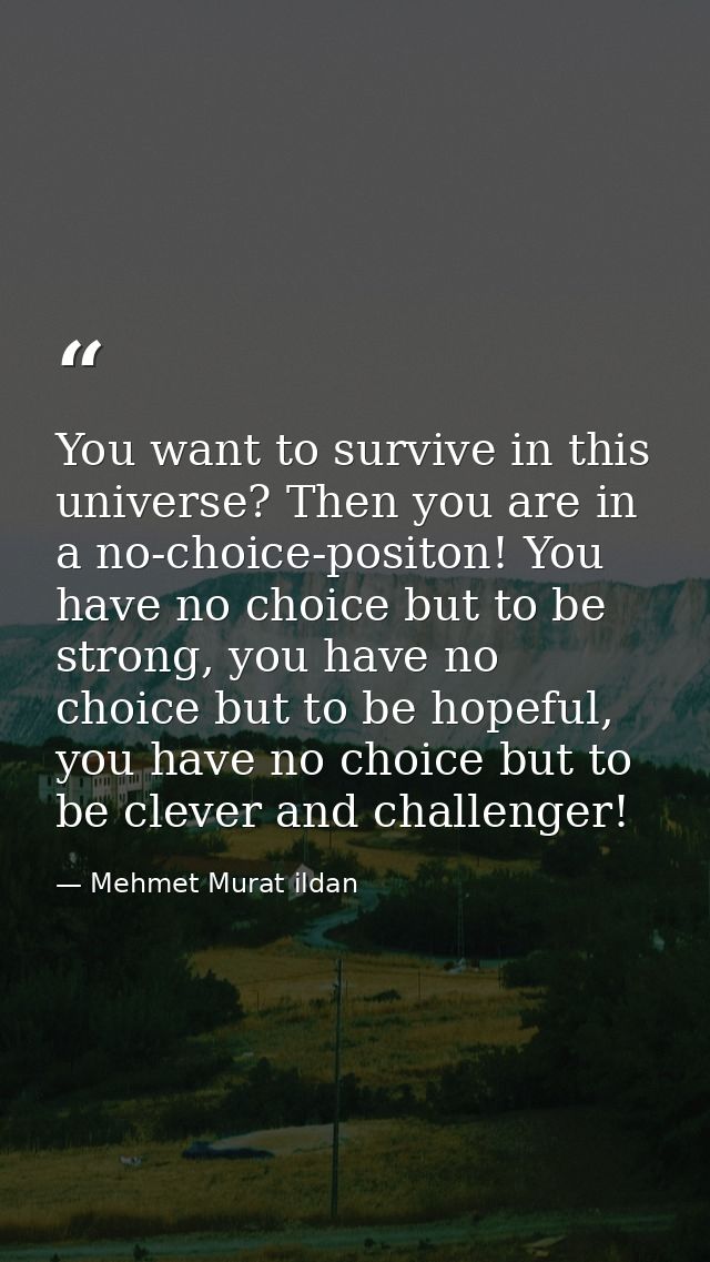 You want to survive in this universe? Then you are in a no-choice-positon! You have no choice but to be strong, you have — Mehmet Murat ildan