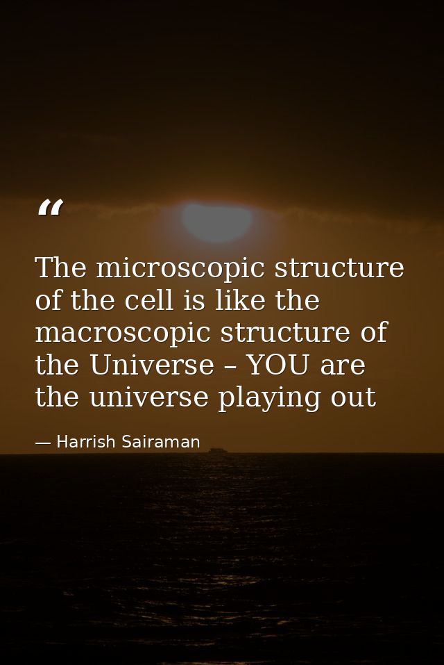 The microscopic structure of the cell is like the macroscopic structure of the Universe – YOU are the universe playing o — Harrish Sairaman
