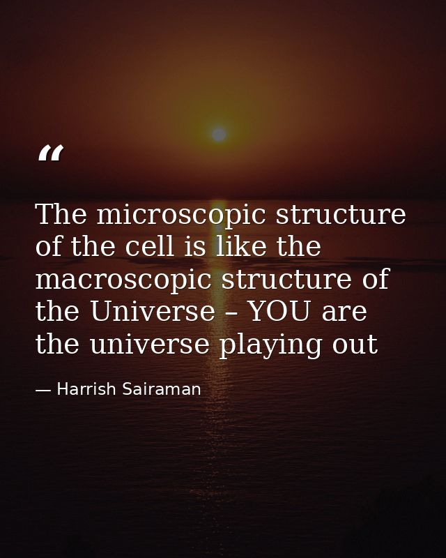The microscopic structure of the cell is like the macroscopic structure of the Universe – YOU are the universe playing o — Harrish Sairaman