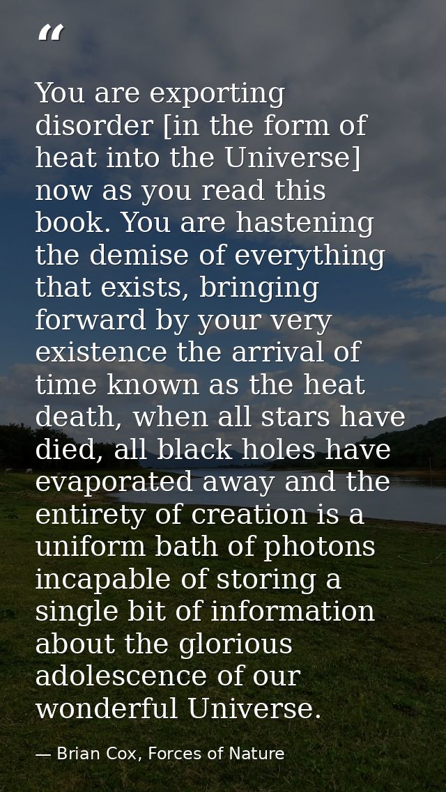 You are exporting disorder [in the form of heat into the Universe] now as you read this book. You are hastening the demi — Brian Cox, Forces of Nature