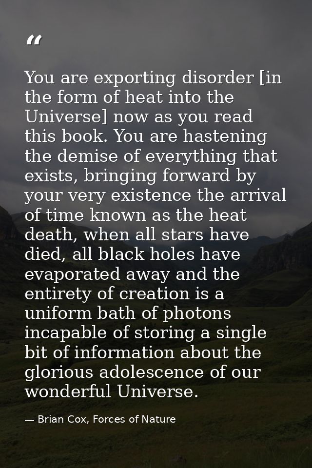 You are exporting disorder [in the form of heat into the Universe] now as you read this book. You are hastening the demi — Brian Cox, Forces of Nature