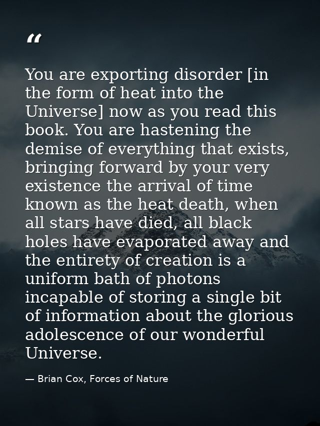 You are exporting disorder [in the form of heat into the Universe] now as you read this book. You are hastening the demi — Brian Cox, Forces of Nature
