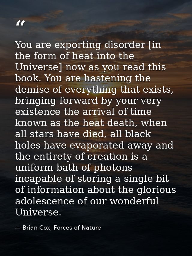 You are exporting disorder [in the form of heat into the Universe] now as you read this book. You are hastening the demi — Brian Cox, Forces of Nature
