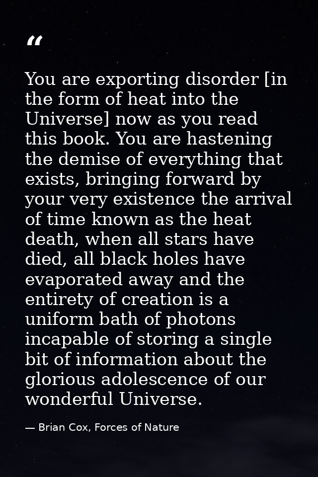 You are exporting disorder [in the form of heat into the Universe] now as you read this book. You are hastening the demi — Brian Cox, Forces of Nature
