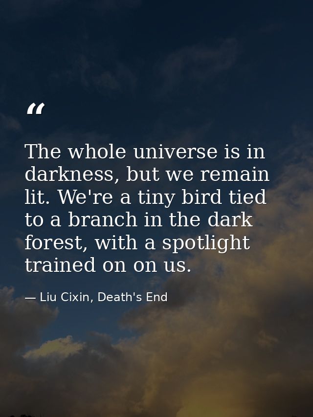 The whole universe is in darkness, but we remain lit. We're a tiny bird tied to a branch in the dark forest, with a spot — Liu Cixin, Death's End