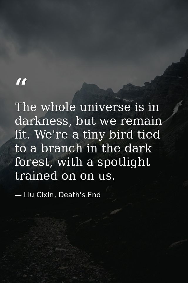 The whole universe is in darkness, but we remain lit. We're a tiny bird tied to a branch in the dark forest, with a spot — Liu Cixin, Death's End