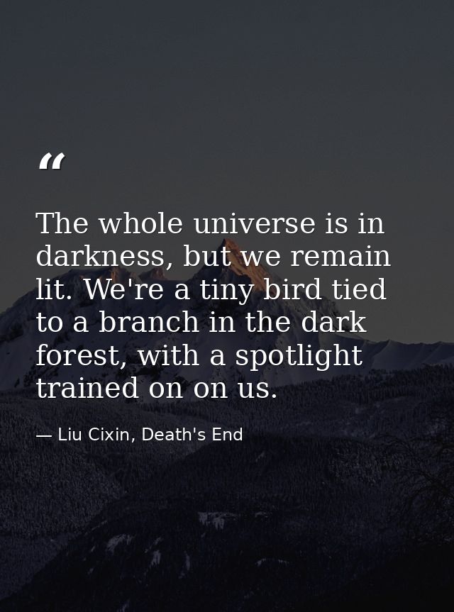 The whole universe is in darkness, but we remain lit. We're a tiny bird tied to a branch in the dark forest, with a spot — Liu Cixin, Death's End