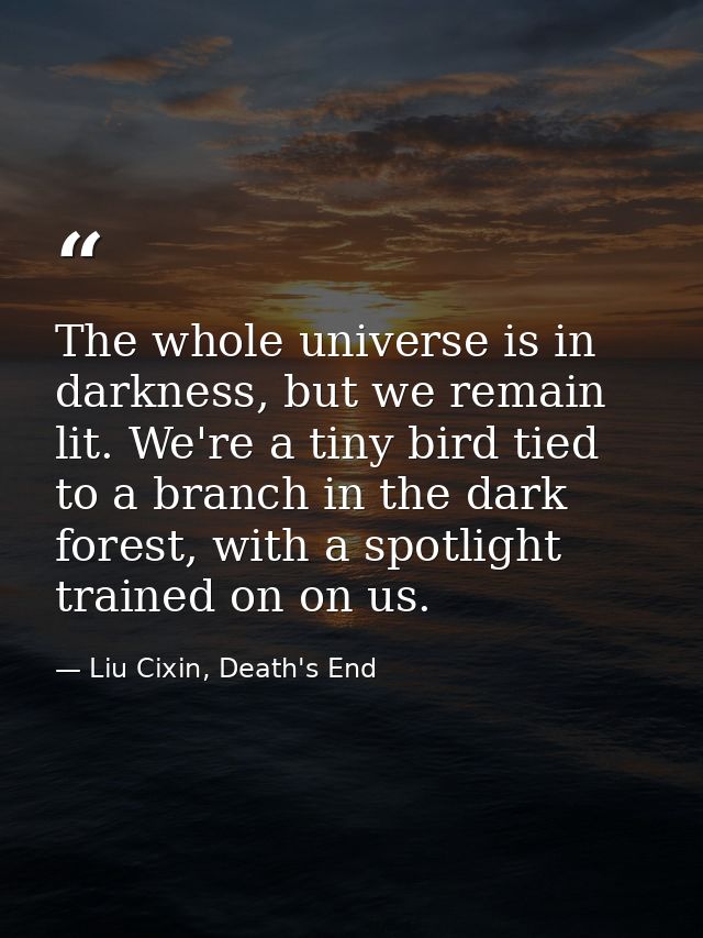 The whole universe is in darkness, but we remain lit. We're a tiny bird tied to a branch in the dark forest, with a spot — Liu Cixin, Death's End