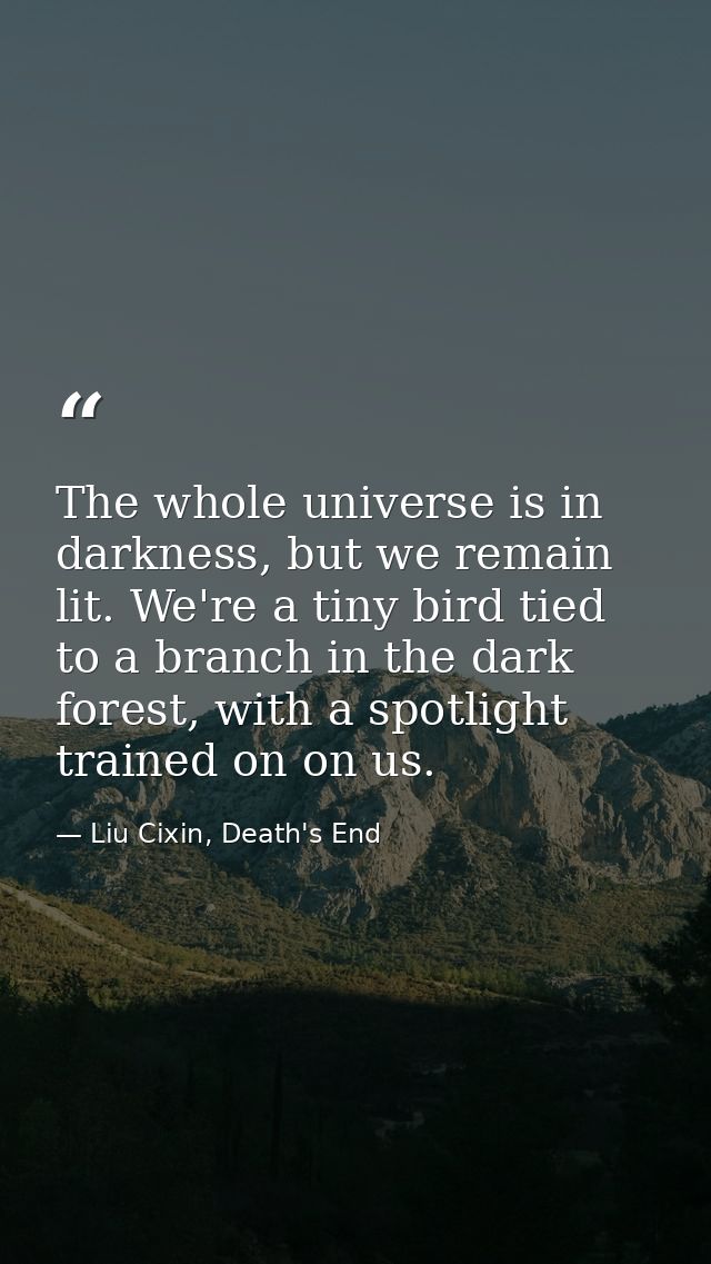 The whole universe is in darkness, but we remain lit. We're a tiny bird tied to a branch in the dark forest, with a spot — Liu Cixin, Death's End