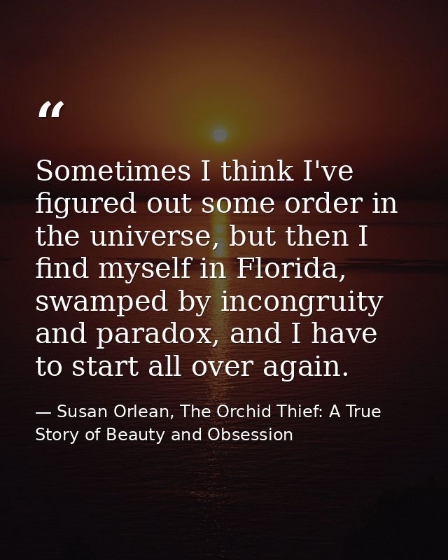 Sometimes I think I've figured out some order in the universe, but then I find myself in Florida, swamped by incongruity — Susan Orlean, The Orchid Thief: A True Story of Beauty and Obsession