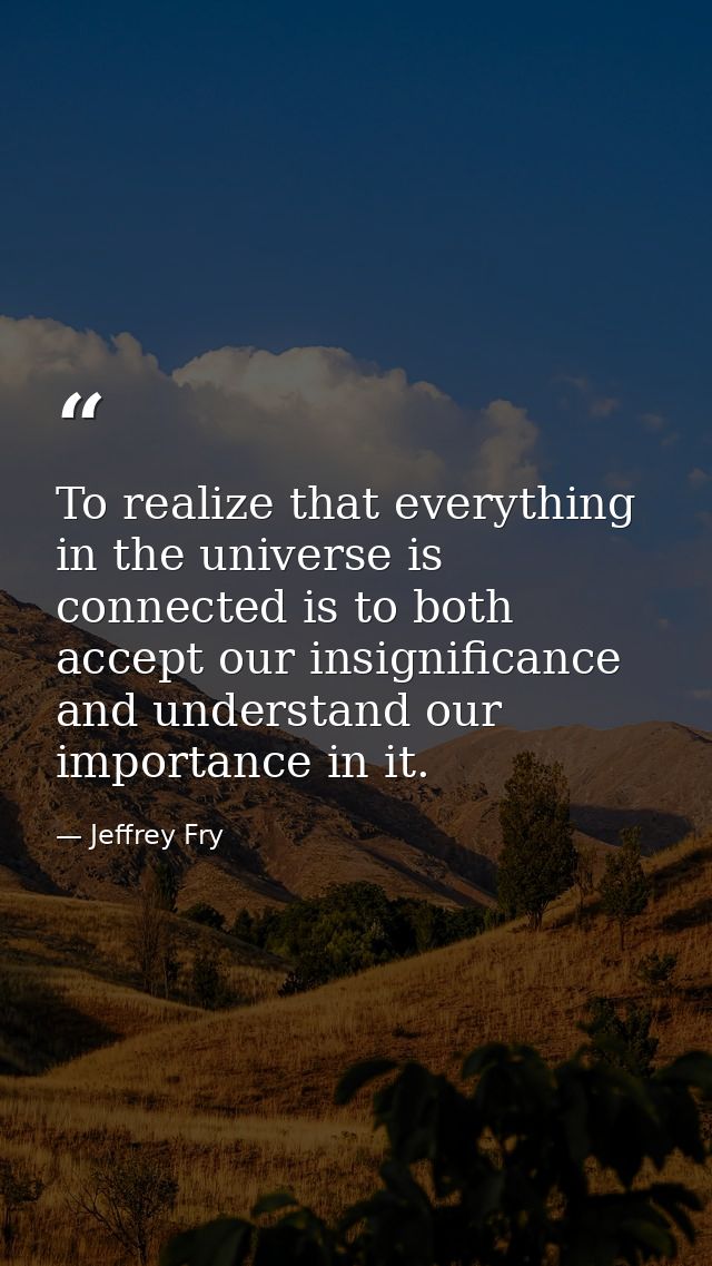 To realize that everything in the universe is connected is to both accept our insignificance and understand our importan — Jeffrey Fry