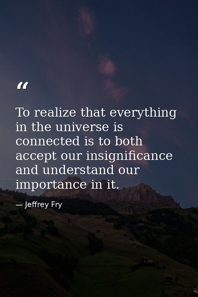 To realize that everything in the universe is connected is to both accept our insignificance and understand our importan — Jeffrey Fry