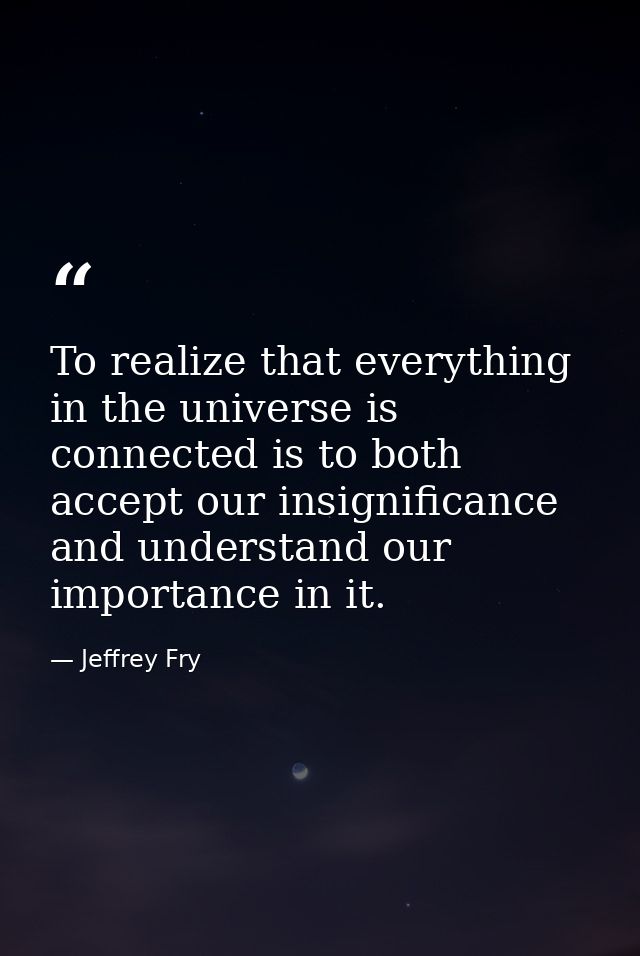 To realize that everything in the universe is connected is to both accept our insignificance and understand our importan — Jeffrey Fry