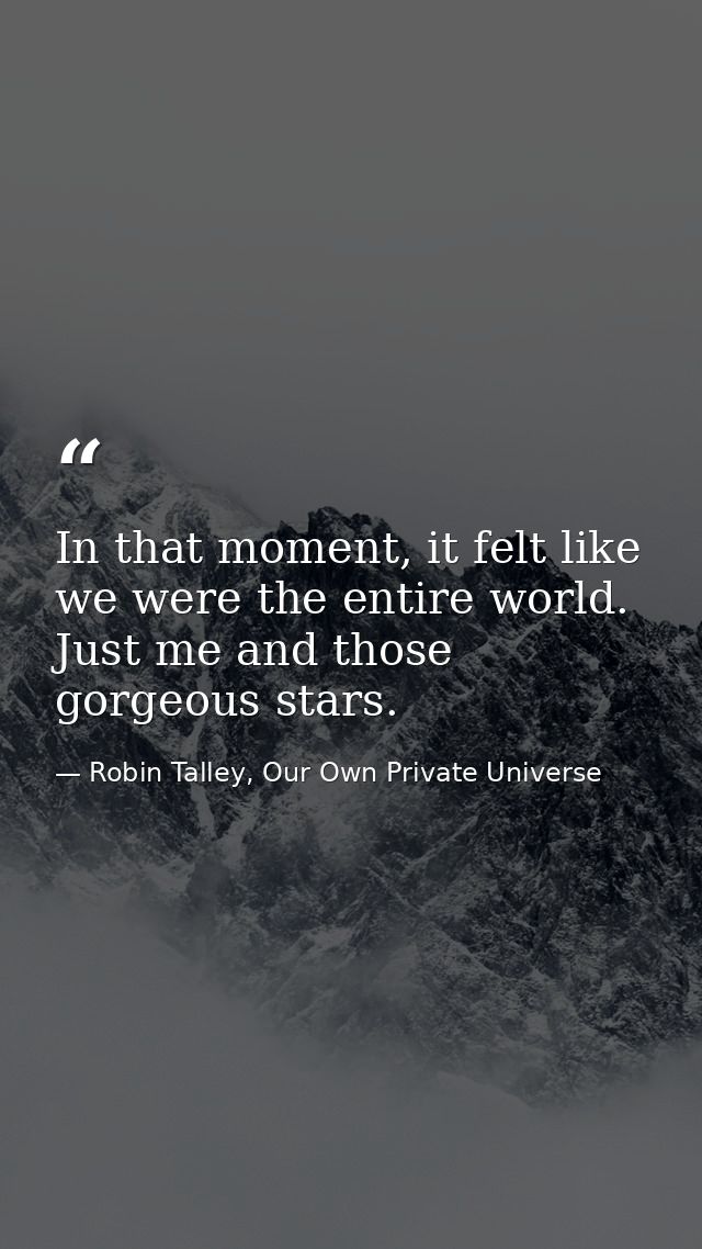 In that moment, it felt like we were the entire world. Just me and those gorgeous stars. — Robin Talley, Our Own Private Universe