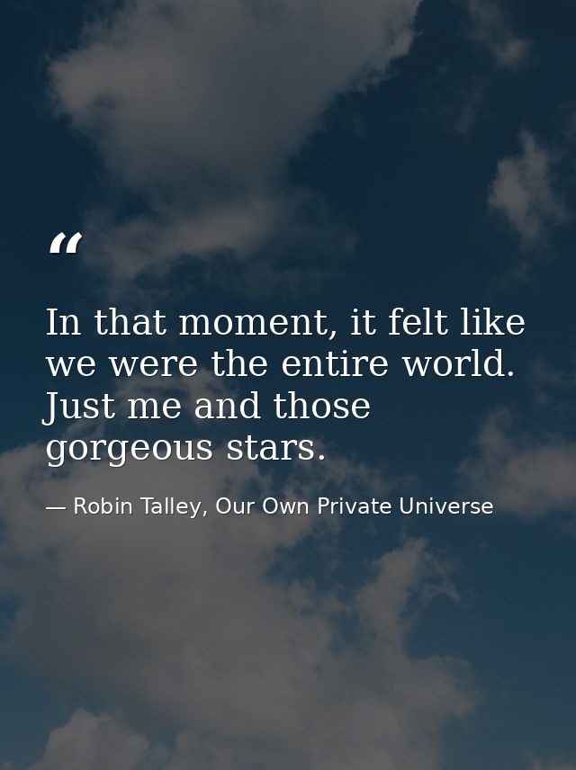 In that moment, it felt like we were the entire world. Just me and those gorgeous stars. — Robin Talley, Our Own Private Universe