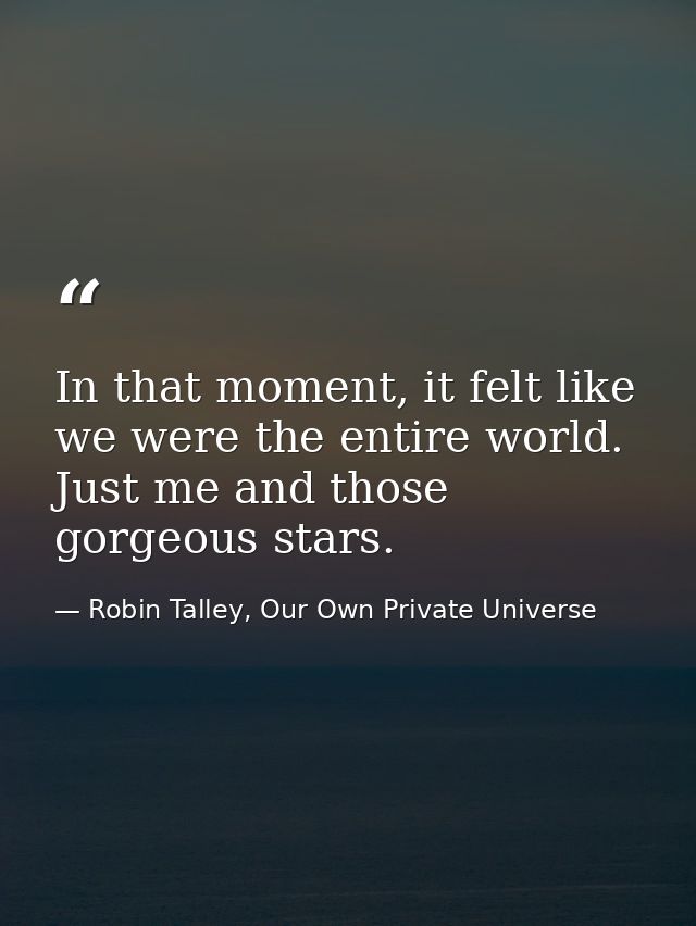 In that moment, it felt like we were the entire world. Just me and those gorgeous stars. — Robin Talley, Our Own Private Universe