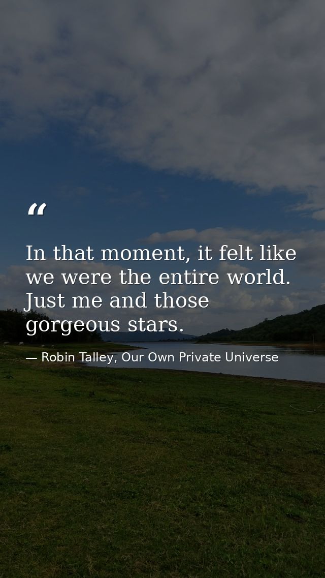 In that moment, it felt like we were the entire world. Just me and those gorgeous stars. — Robin Talley, Our Own Private Universe