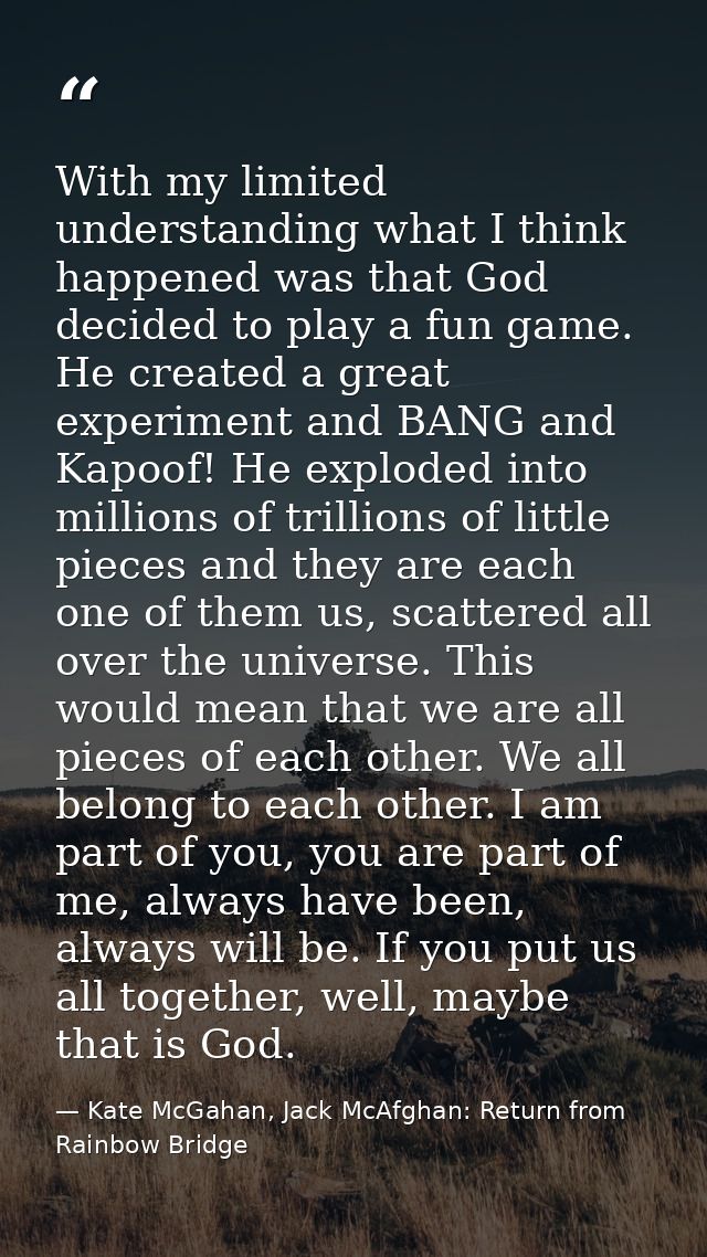 With my limited understanding what I think happened was that God decided to play a fun game. He created a great experime — Kate McGahan, Jack McAfghan: Return from Rainbow Bridge