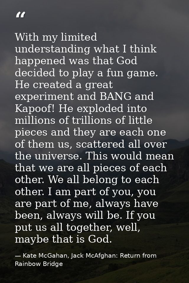With my limited understanding what I think happened was that God decided to play a fun game. He created a great experime — Kate McGahan, Jack McAfghan: Return from Rainbow Bridge