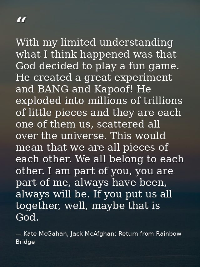 With my limited understanding what I think happened was that God decided to play a fun game. He created a great experime — Kate McGahan, Jack McAfghan: Return from Rainbow Bridge