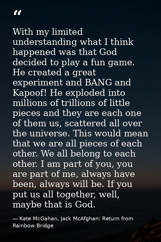 With my limited understanding what I think happened was that God decided to play a fun game. He created a great experime — Kate McGahan, Jack McAfghan: Return from Rainbow Bridge