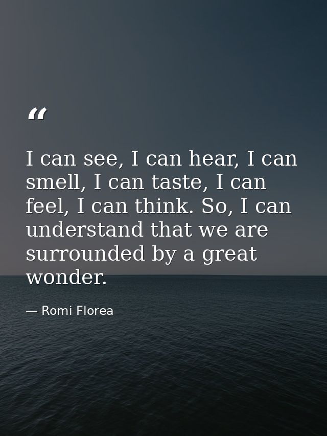 I can see, I can hear, I can smell, I can taste, I can feel, I can think. So, I can understand that we are surrounded by — Romi Florea