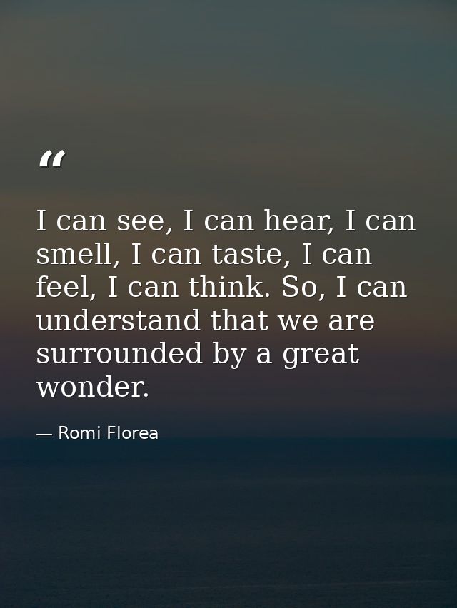 I can see, I can hear, I can smell, I can taste, I can feel, I can think. So, I can understand that we are surrounded by — Romi Florea