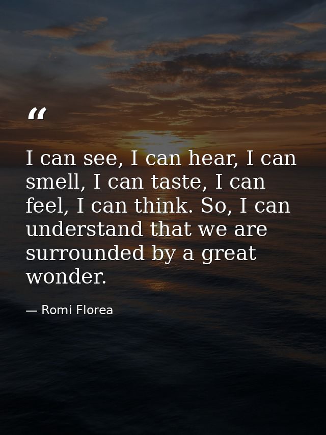 I can see, I can hear, I can smell, I can taste, I can feel, I can think. So, I can understand that we are surrounded by — Romi Florea