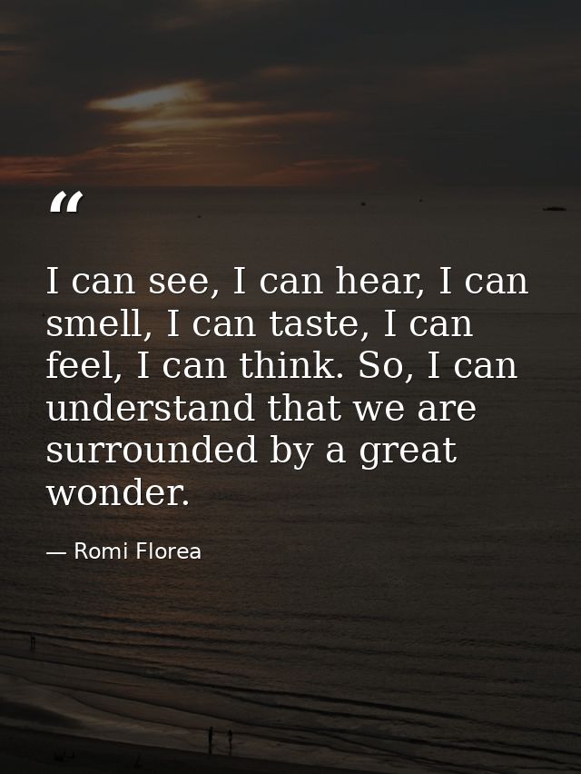 I can see, I can hear, I can smell, I can taste, I can feel, I can think. So, I can understand that we are surrounded by — Romi Florea