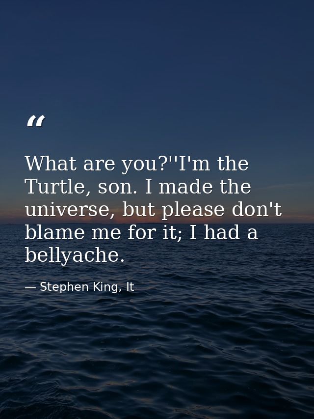 What are you?''I'm the Turtle, son. I made the universe, but please don't blame me for it; I had a bellyache. — Stephen King, It