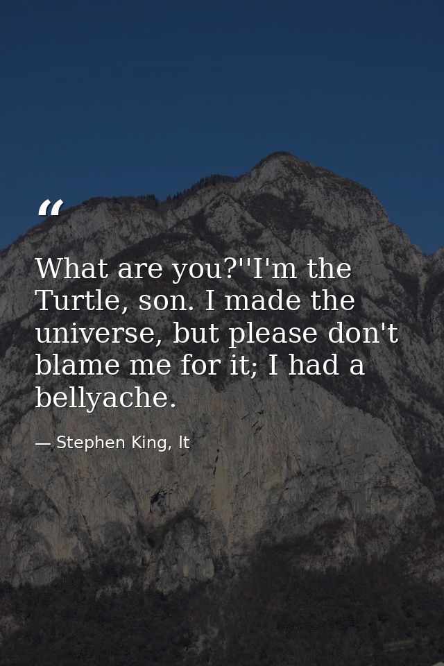 What are you?''I'm the Turtle, son. I made the universe, but please don't blame me for it; I had a bellyache. — Stephen King, It