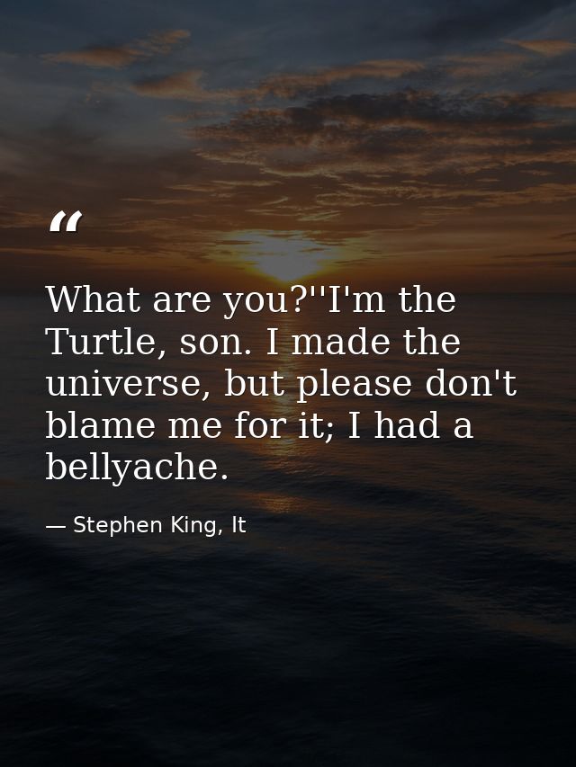 What are you?''I'm the Turtle, son. I made the universe, but please don't blame me for it; I had a bellyache. — Stephen King, It