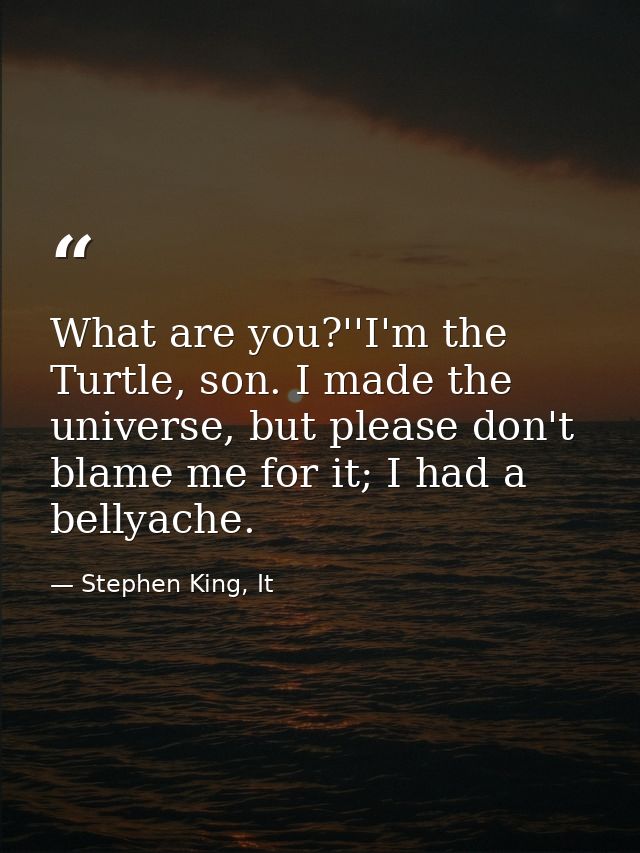 What are you?''I'm the Turtle, son. I made the universe, but please don't blame me for it; I had a bellyache. — Stephen King, It