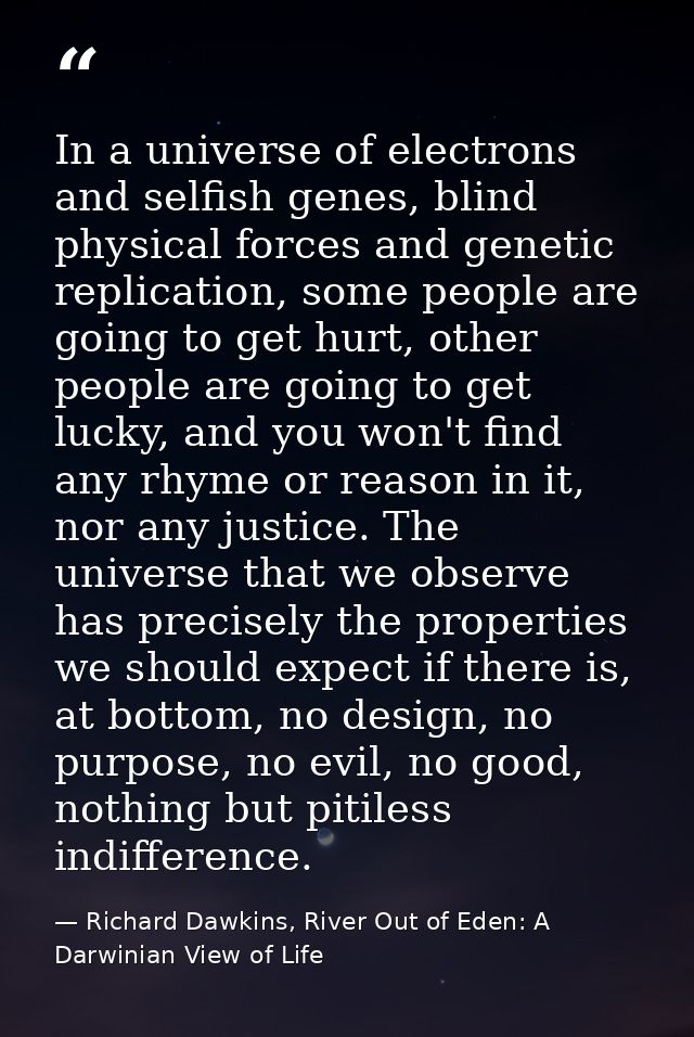 In a universe of electrons and selfish genes, blind physical forces and genetic replication, some people are going to ge — Richard Dawkins, River Out of Eden: A Darwinian View of Life